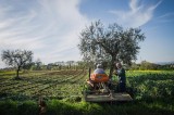 Benevento, Concorso fotografico “Immagini del Sannio rurale 2020”