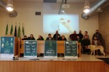 Al via la sesta edizione della carovana solidale “Il Pino Irpino” Al via la sesta edizione della carovana solidale “Il Pino Irpino”