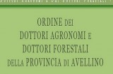 Gli agronomi irpini protagonisti a Matera al XVII Congresso Nazionale Gli agronomi irpini protagonisti a Matera al XVII Congresso Nazionale