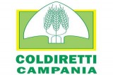 Istat: Coldiretti Campania, censimento al via con prima volta nei Caa Istat: Coldiretti Campania, censimento al via con prima volta nei Caa