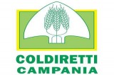 Covid: ad Avellino la befana a km zero di Coldiretti