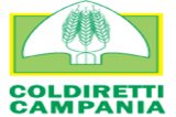 Vaccini in cantina: Coldiretti e Asl Benevento insieme per immunizzare gli agricoltori Vaccini in cantina: Coldiretti e Asl Benevento insieme per immunizzare gli agricoltori