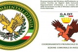 Avellino – Rifiuti, Gadit: “Sempre presente nel contrasto all’abbandono” Avellino – Rifiuti, Gadit: “Sempre presente nel contrasto all’abbandono”