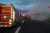 Mirabella Eclano – Incendio sull’A16: in fiamme un camion che trasportava birre