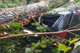 Maltempo in Irpinia: più di 40 interventi dei Vigili del Fuoco