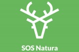 Coldiretti contro i cinghiali, ribatte SOS Natura: “Serve prevenire, non il fucile”