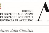 Avellino – Allarme cinghiali, confronto con la Regione Campania Avellino – Allarme cinghiali, confronto con la Regione Campania