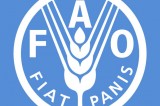 FAO, opportunità di tirocini in Italia e all’estero