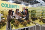 Vinitaly: Coldiretti, le uve storiche campane tra i grappoli d’Italia