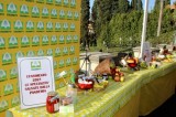 Covid, Coldiretti: “Censimento da record con 5.333 specialità a tavola” Covid, Coldiretti: “Censimento da record con 5.333 specialità a tavola”