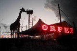 Monteforte Irpino – SOS Natura, al via la protesta contro gli animali sfruttati al circo