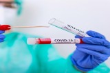 Coronavirus, i dati del 17 Giugno in Irpinia Coronavirus, i dati del 17 Giugno in Irpinia