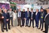 Fruit Logistica – Rucola IGP parte con il botto, già il 60% della produzione Fruit Logistica – Rucola IGP parte con il botto, già il 60% della produzione