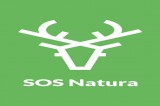 Avellino – Circo, SOS Natura: “Tutelare gli animali è possibile”