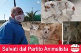 Marcianise (CE), il Partito Animalista salva 3 cani