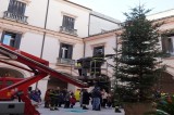 Avellino – Allestito l’albero di Natale Avellino – Allestito l’albero di Natale