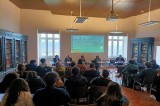 Nuove Idee per la Sostenibilità in Campania