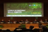Avellino – Giornata internazionale delle Foreste