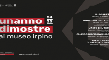 Avellino, un anno di mostre al Museo Irpino