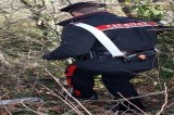 Frigento (Av) – Ripreso dalla telecamera mentre scarica rifiuti in un’area sottoposta a vincolo paesaggistico Frigento (Av) – Ripreso dalla telecamera mentre scarica rifiuti in un’area sottoposta a vincolo paesaggistico