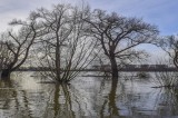 Clima, AI guiderà gestione e decisioni su rischi alluvioni-frane Clima, AI guiderà gestione e decisioni su rischi alluvioni-frane