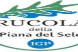 Il progetto campano “100% Rucola” al Macfrut 2025 di Rimini Il progetto campano “100% Rucola” al Macfrut 2025 di Rimini