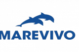 A Capri gli alunni diventano “Delfini guardiani” della biodiversità A Capri gli alunni diventano “Delfini guardiani” della biodiversità