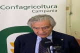 Taglio UE all’agricoltura Taglio UE all’agricoltura