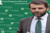Rafforzamento Servizio Fitosanitario Rafforzamento Servizio Fitosanitario