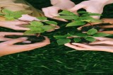Giornata Ecologica nei Monti Picentini Giornata Ecologica nei Monti Picentini