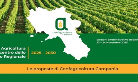 L’agricoltura al centro dello sviluppo regionale in 12 punti L’agricoltura al centro dello sviluppo regionale in 12 punti