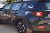 Aquilonia (AV): Carabinieri denunciano un allevatore Aquilonia (AV): Carabinieri denunciano un allevatore