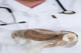 Approvate le leggi su Onconutrizione e Oncoriabilitazione Approvate le leggi su Onconutrizione e Oncoriabilitazione