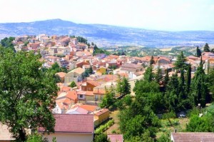 562_carife