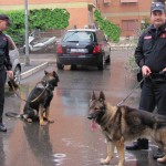 carabinieri cinofili