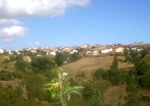 vallesaccarda