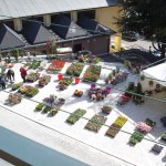 fiera dei fiori 2012