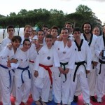 taekwondoo