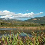 wwf-paesaggio-g