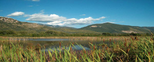 wwf-paesaggio-g