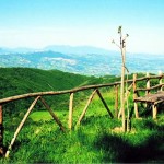 trevico-1256