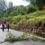 vigili temporali