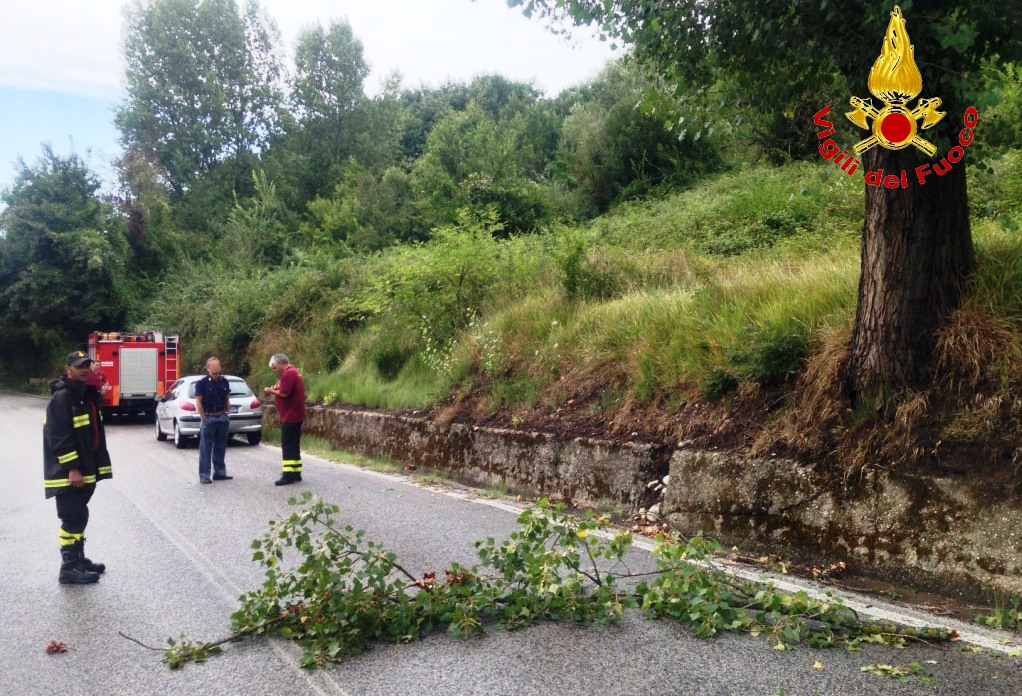 vigili temporali