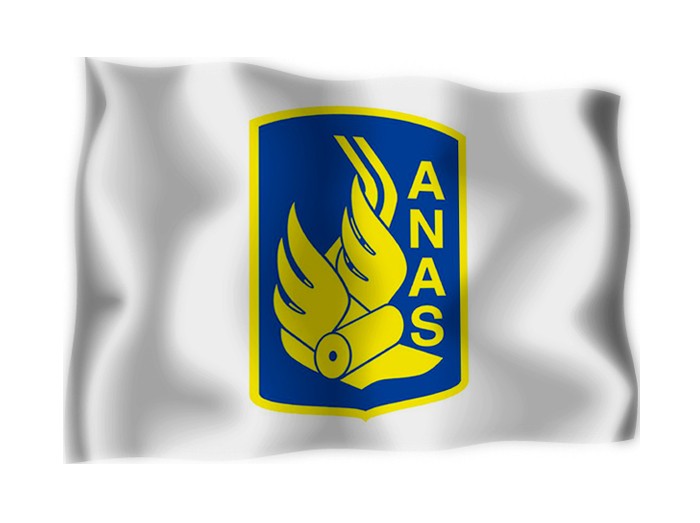 anas_2