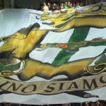 avellino