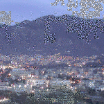 solofra