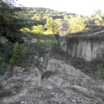 torrioni