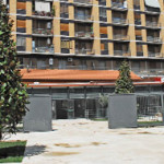 asilo