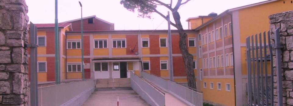 bruno-dorso