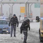 A16 neve